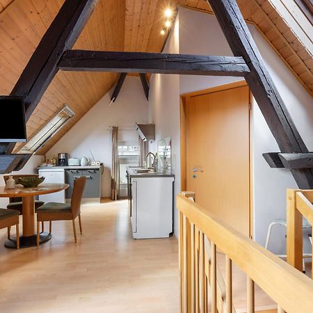 Ferienwohnung An Der Brigach Донауэшинген Экстерьер фото