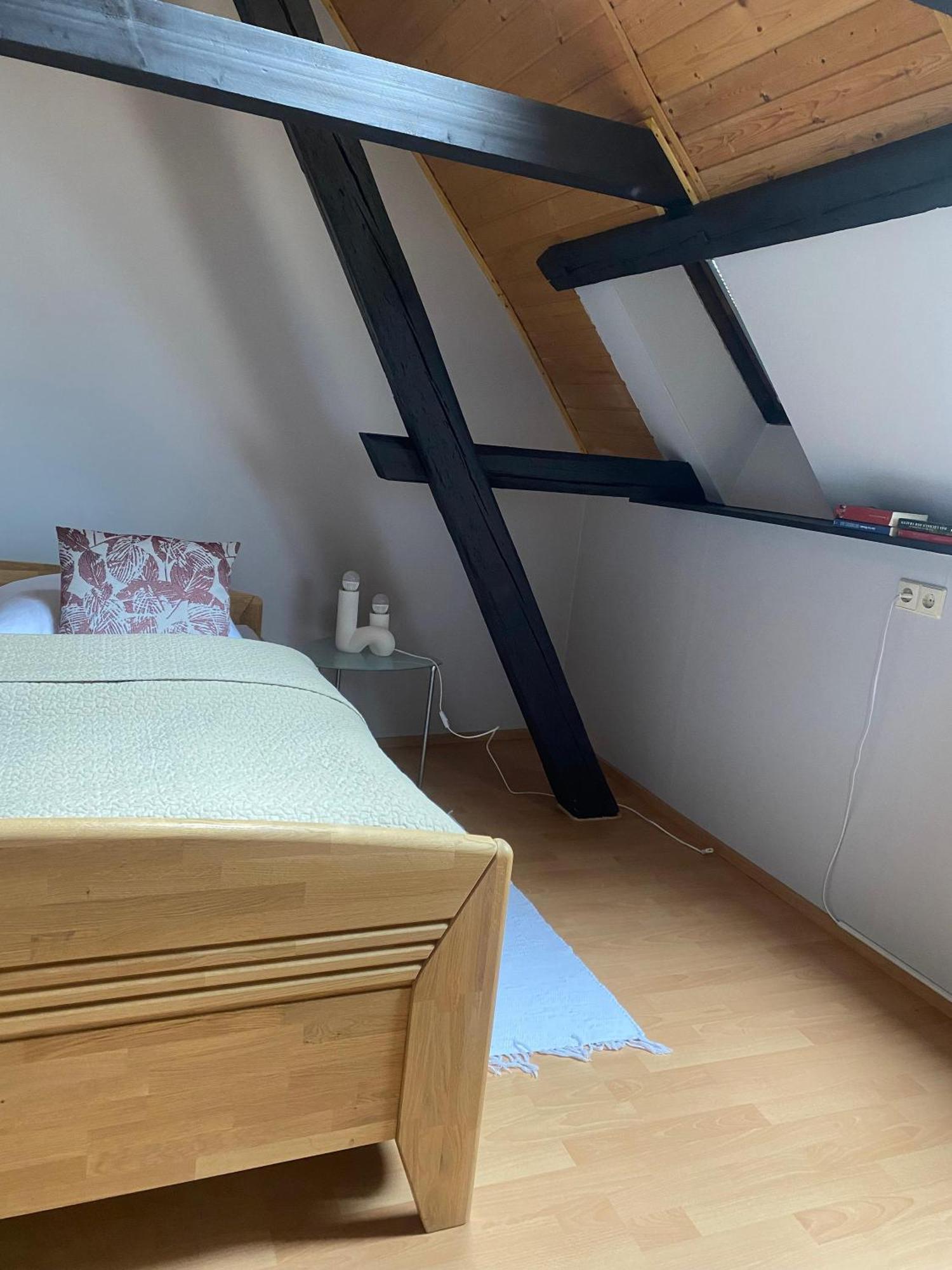 Ferienwohnung An Der Brigach Донауэшинген Экстерьер фото