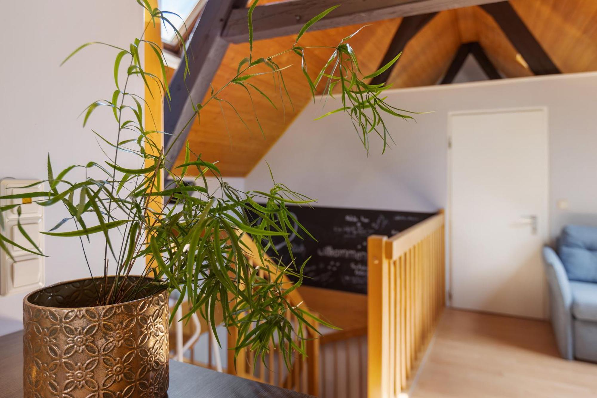 Ferienwohnung An Der Brigach Донауэшинген Экстерьер фото